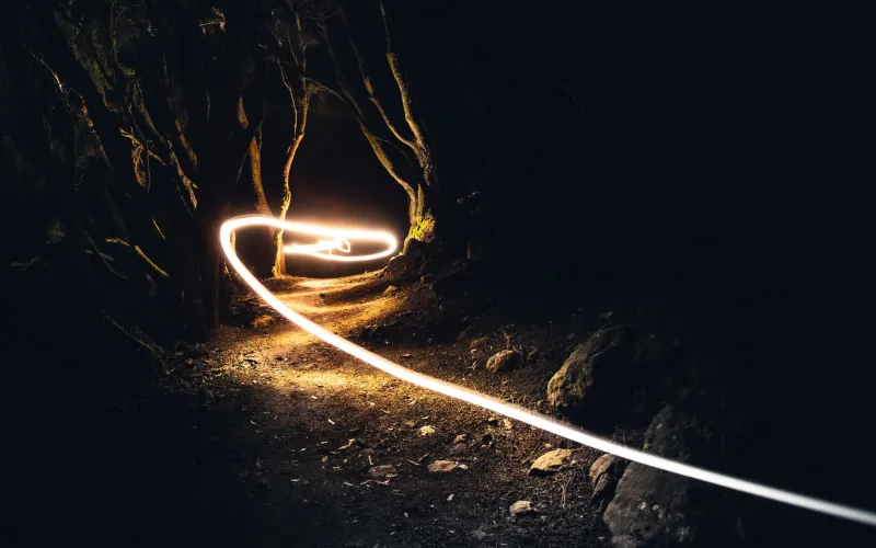Shadow Speaks: How Light and Dark Design in Online RPGs Secretly Controls the Way You Play